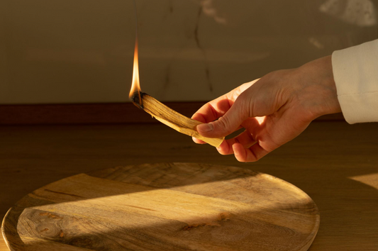 How to Use Palo Santo Correctly | Beginner Ritual Guide