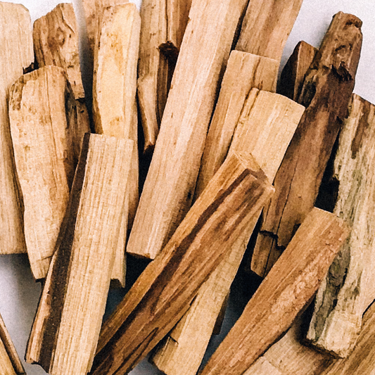 The Spiritual Journey of Palo Santo: A Meeting with Sacred Essence